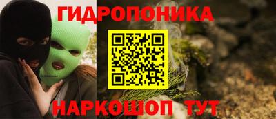 гидропоника Можга