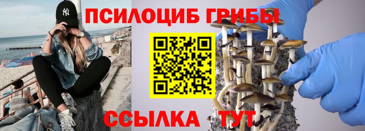 Псилоцибиновые грибы Psilocybine cubensis Сергиев Посад